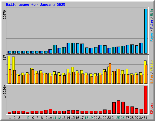 Daily usage for January 2025