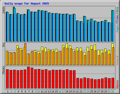 Daily usage for August 2025