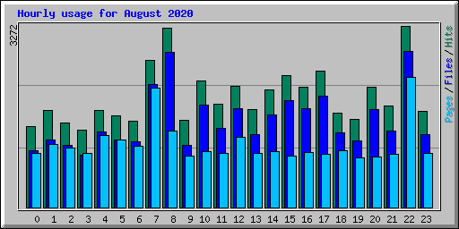 Hourly usage for August 2020