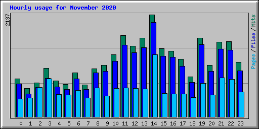 Hourly usage for November 2020