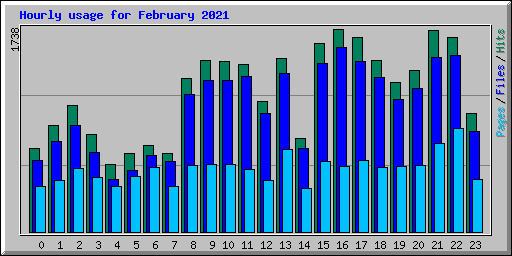 Hourly usage for February 2021