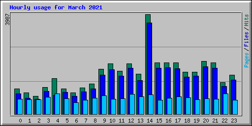 Hourly usage for March 2021