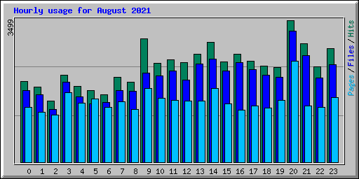 Hourly usage for August 2021