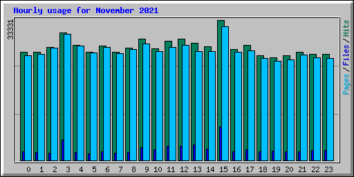 Hourly usage for November 2021