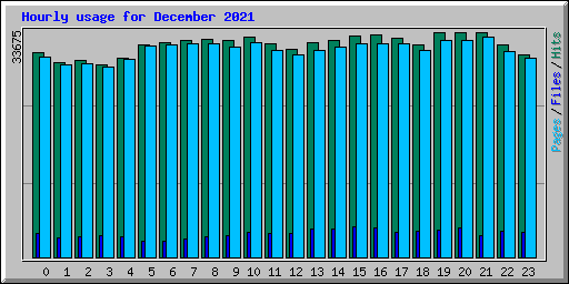 Hourly usage for December 2021