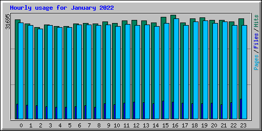 Hourly usage for January 2022