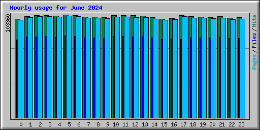 Hourly usage for June 2024