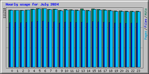 Hourly usage for July 2024