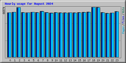 Hourly usage for August 2024