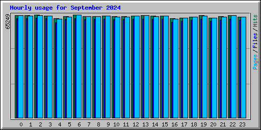 Hourly usage for September 2024