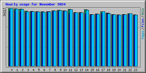 Hourly usage for November 2024