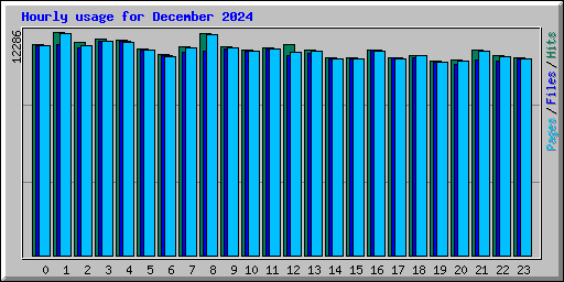 Hourly usage for December 2024