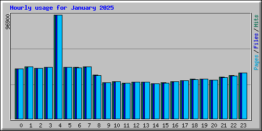 Hourly usage for January 2025