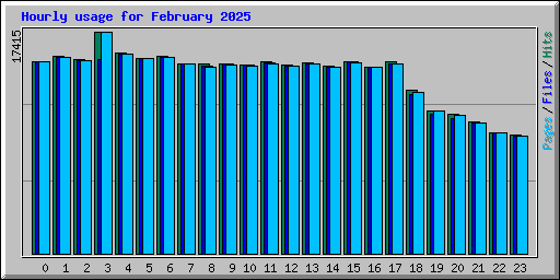 Hourly usage for February 2025