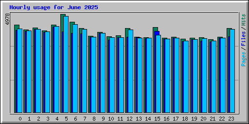 Hourly usage for June 2025
