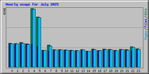 Hourly usage for July 2025