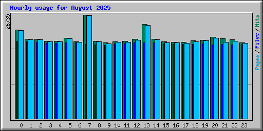 Hourly usage for August 2025