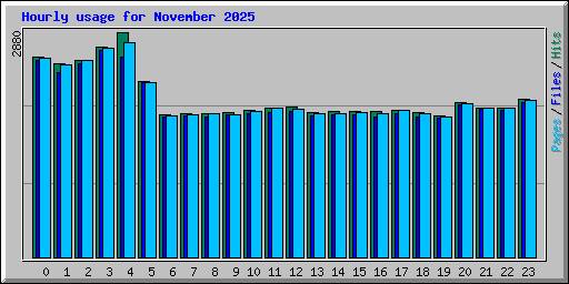 Hourly usage for November 2025