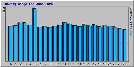 Hourly usage for June 2026