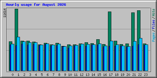 Hourly usage for August 2026